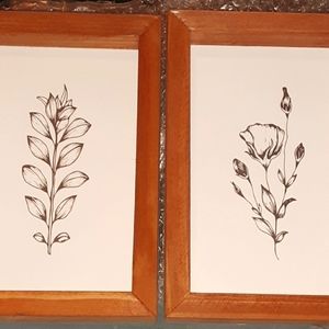 2 black & white foliage artwork framed Pictures.